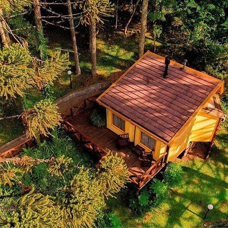 Villa Flor Ecoresort Nova Petropolis Ngoại thất bức ảnh